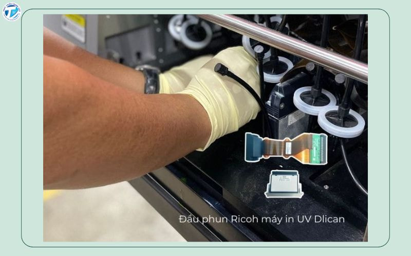 Sau khi vệ sinh nhẹ đầu phun có thể dùng nước dưỡng